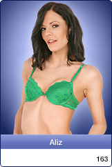 c0163