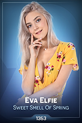 e1363