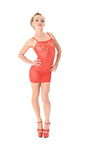 vgi1083p020001.jpg