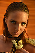 vgi1263p06226.jpg