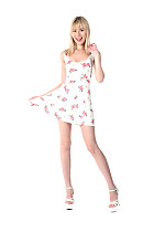 vgi1298p04000.jpg