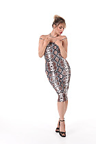vgi1506p03008.jpg